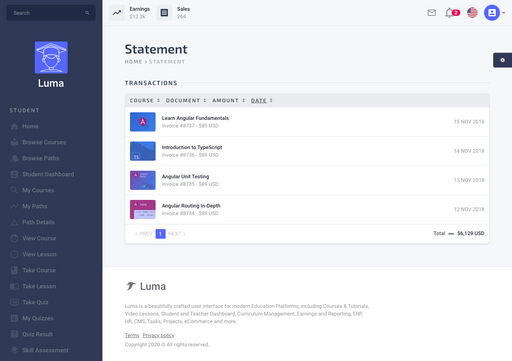 Instructor Statement - null